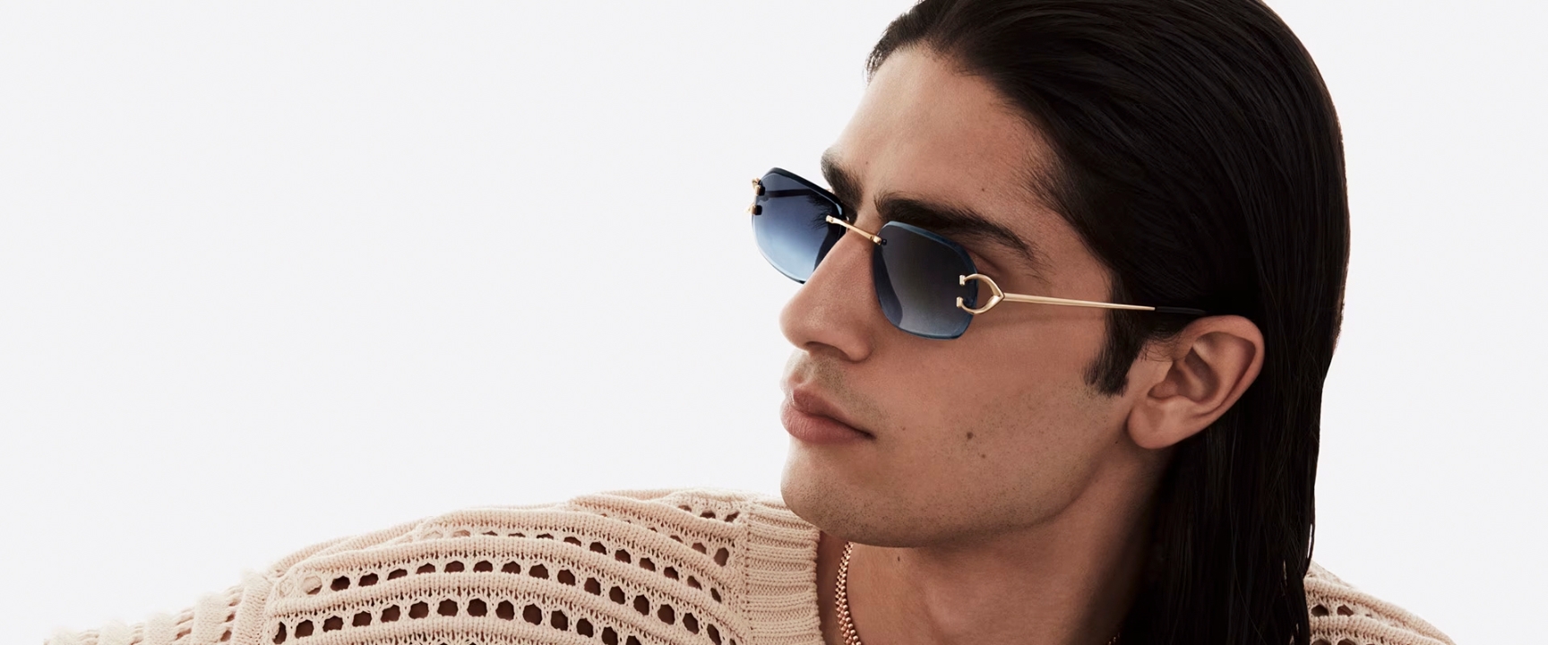 Cartier - HEader 2
