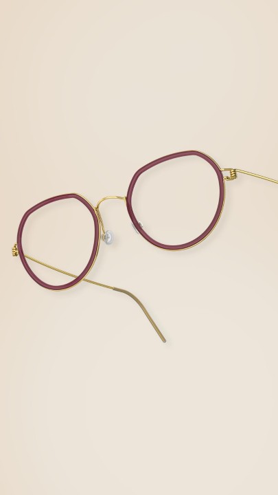 LINDBERG - 2011 week 49 december inspiration story 6