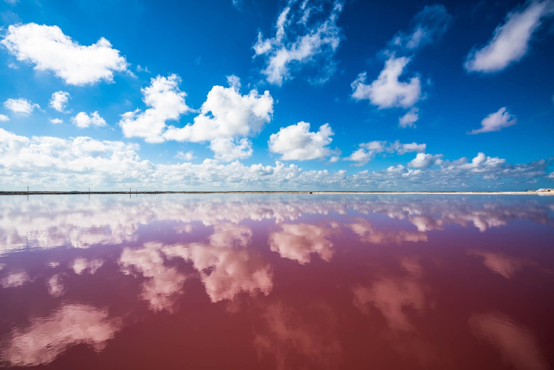 SALT. - Pink BlueSaltLake
