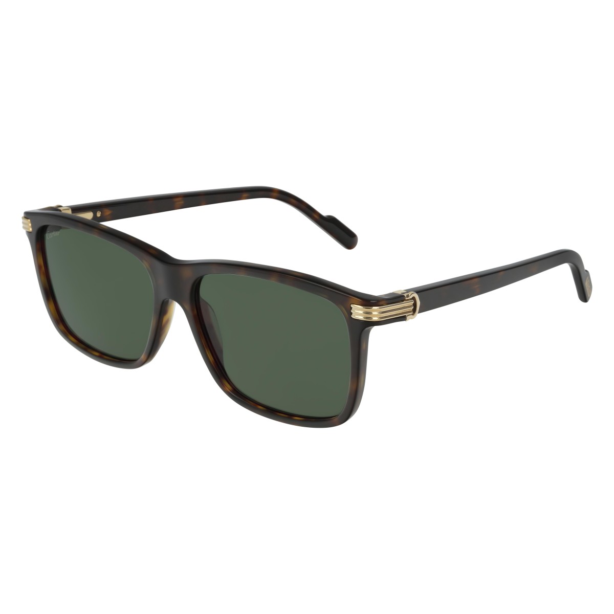 Cartier - CT0160S 002 Havana-Havana-Green