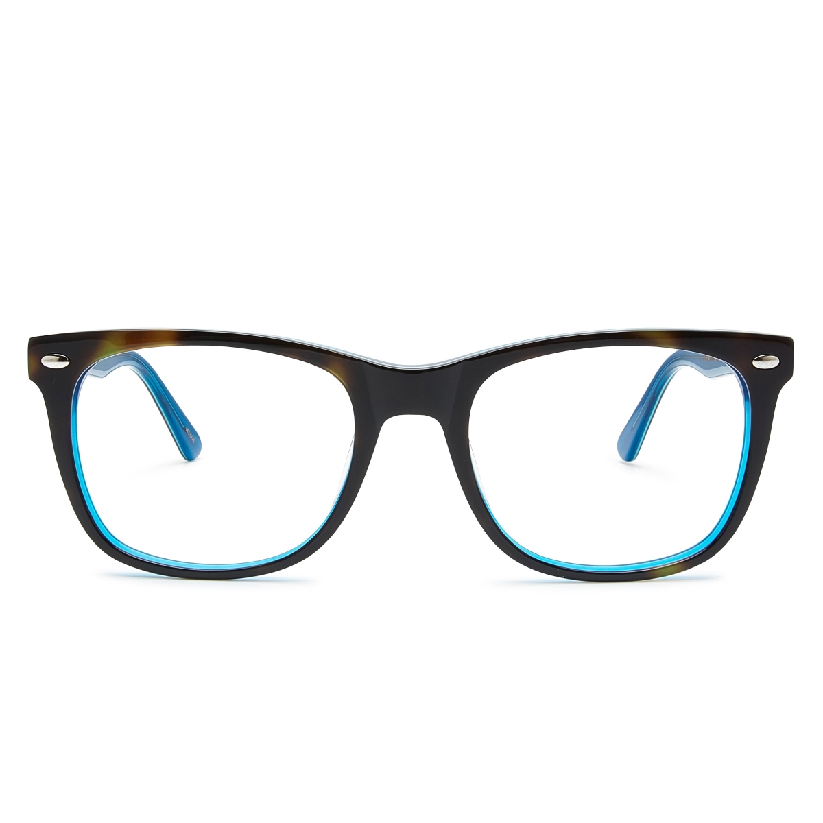 Heyelander - Murray null Tortoise on Blue