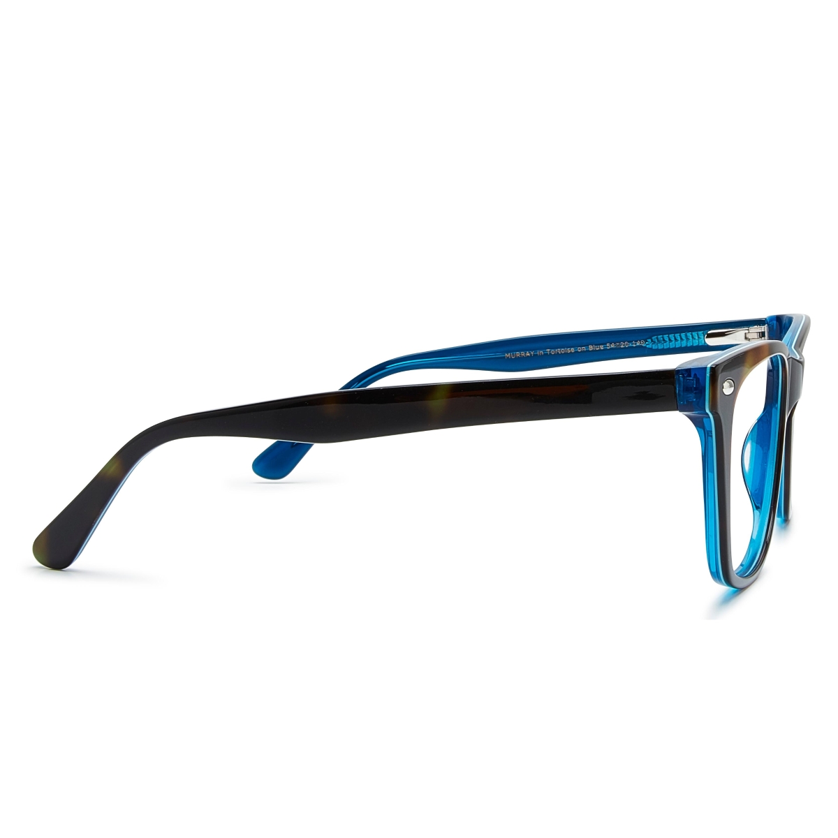 Heyelander - Murray null Tortoise on Blue