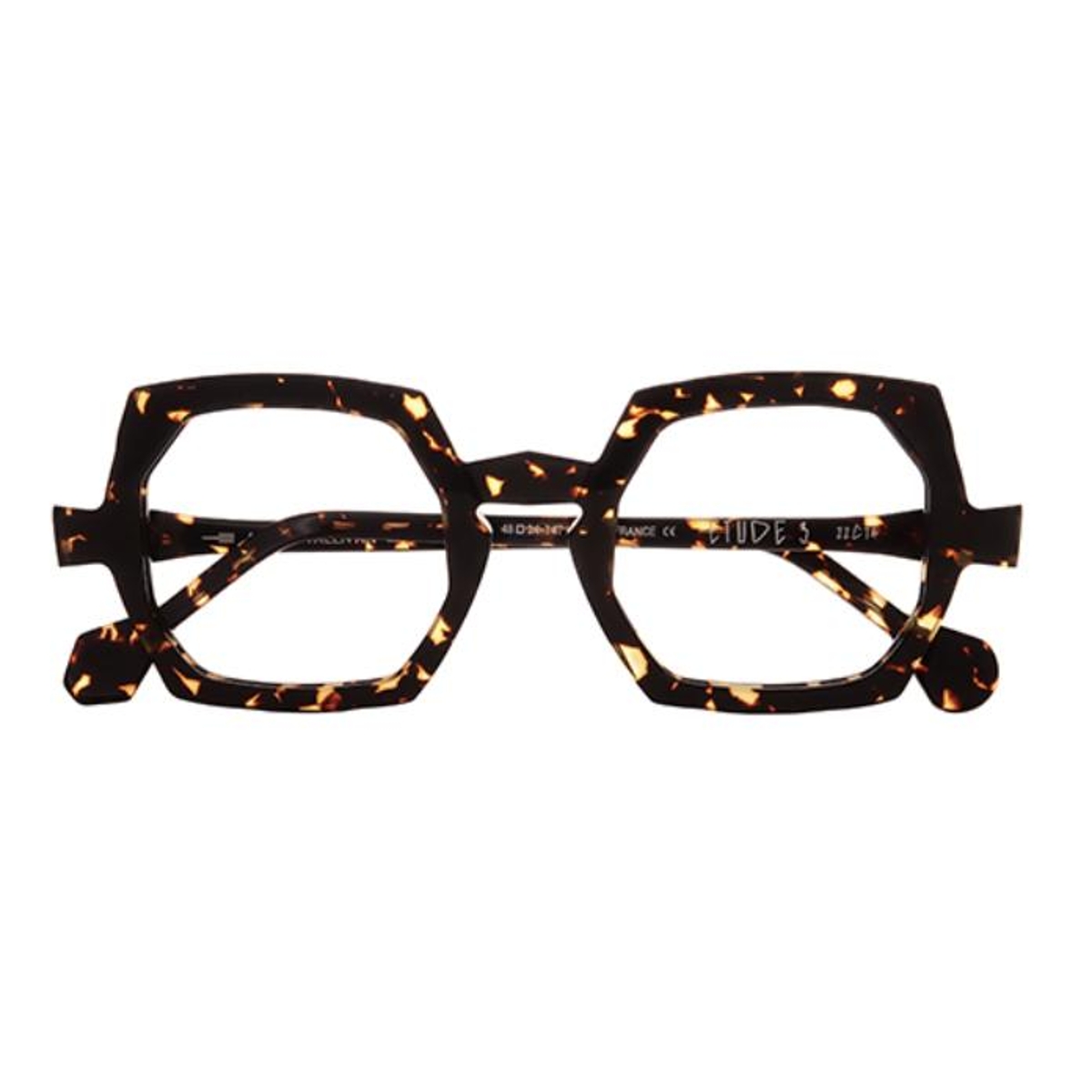Anne et Valentin - Etude 3 22C14 Tortoise