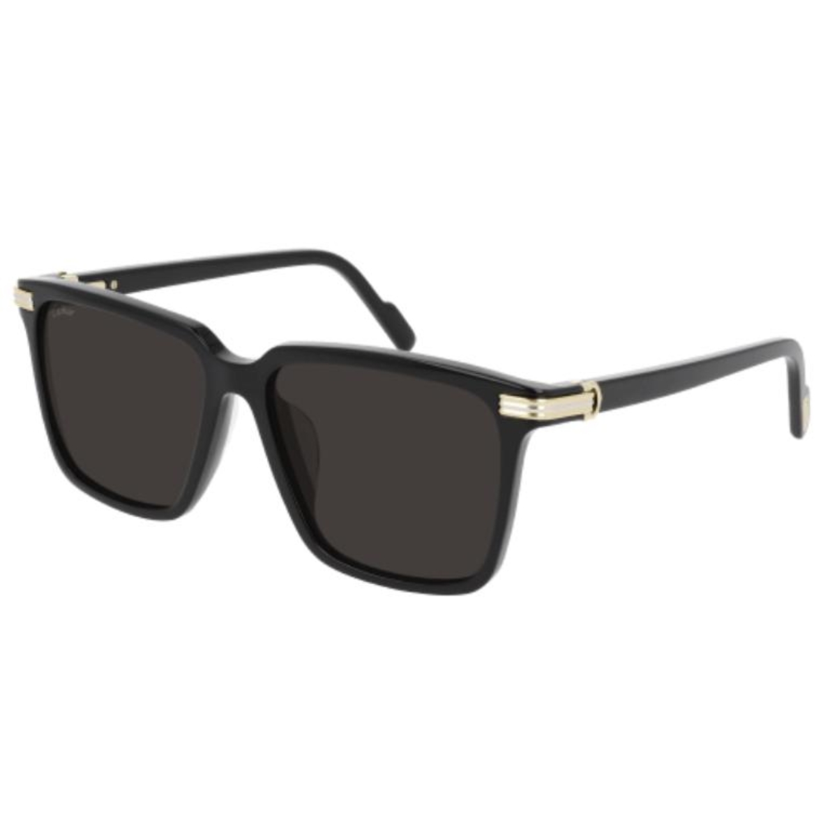 Cartier - CT0220SA 001 Black-Black-Grey
