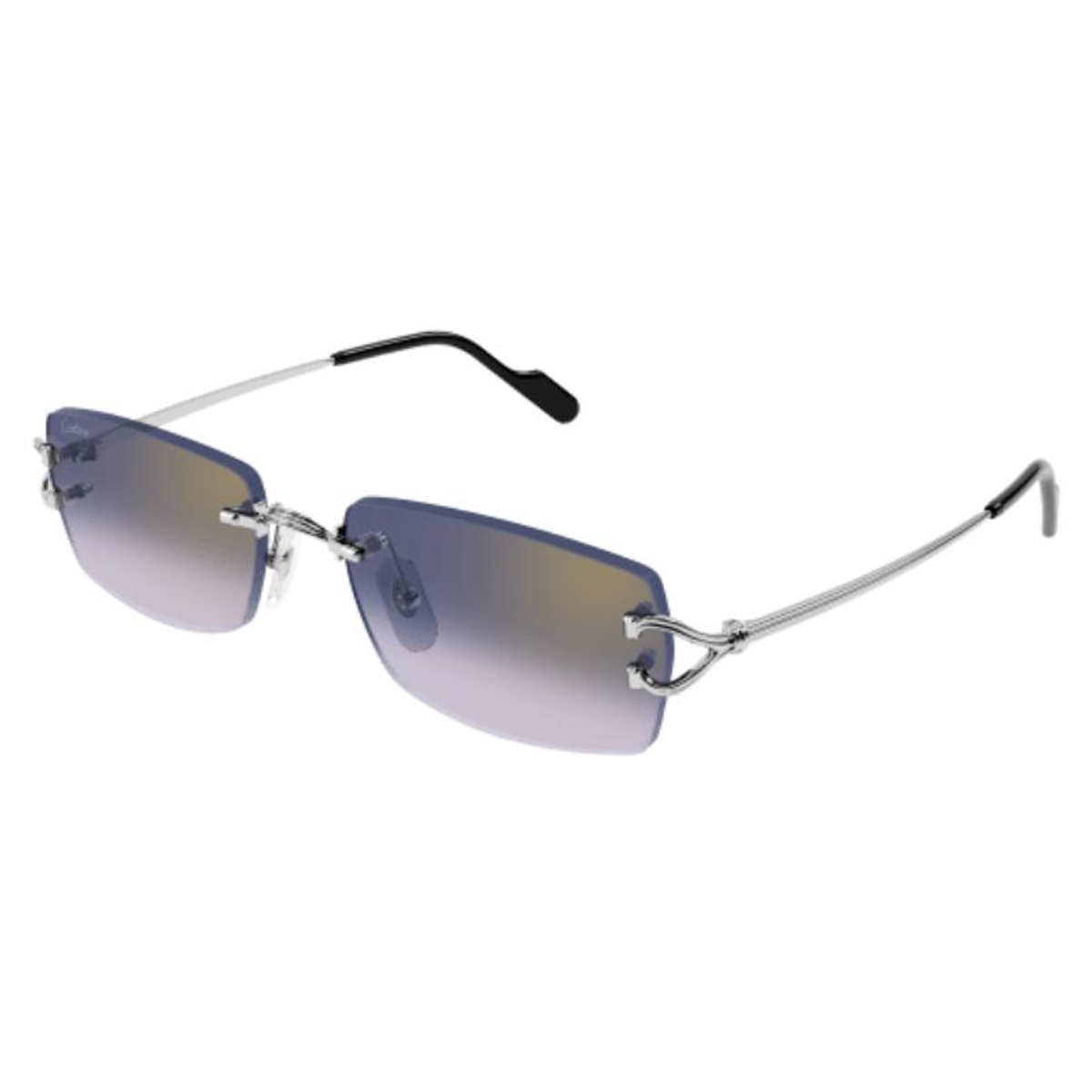 Cartier - CT0550S 003 Silver-Silver-Blue