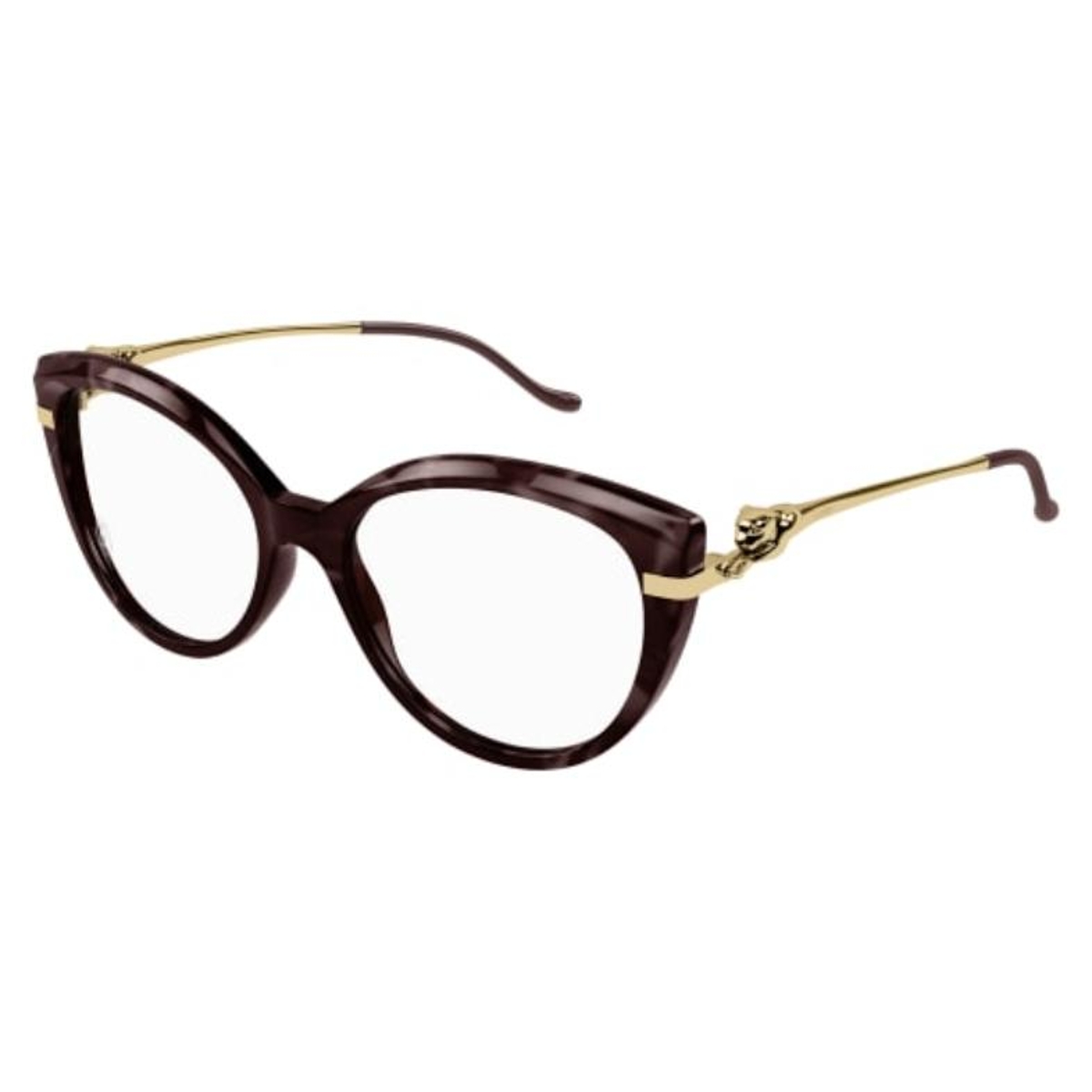 Cartier - CT0283O 003 Havana-Gold-Transparent